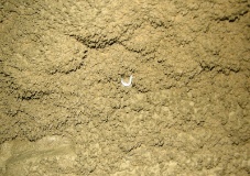 DSCN4864.jpg
