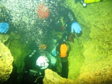 Deko ohne Habitat