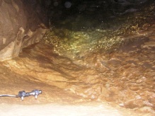 Sonde oberhalb des Siphonsees (Rolf Siegenthaler)