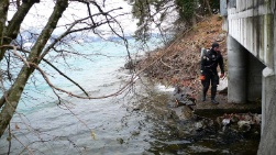 Bachausfluss unter der Brücke in den See